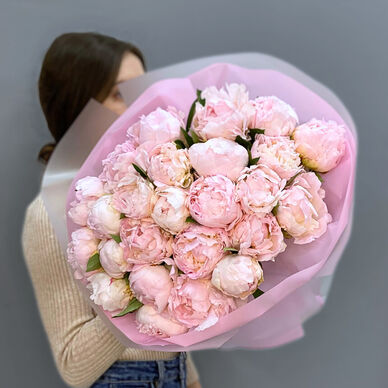25 голландских пионов